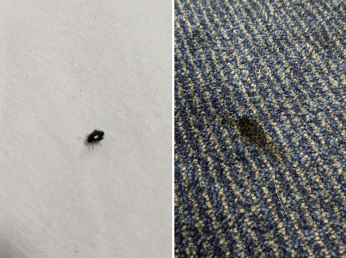 The Great Storm of 1987 in England